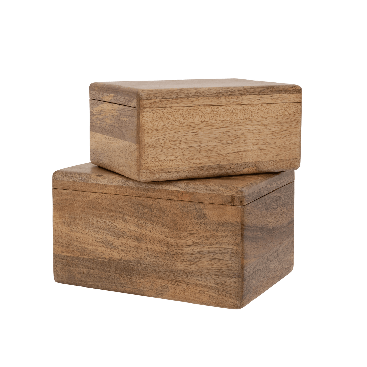 
                  
                    Small   Box
                  
                