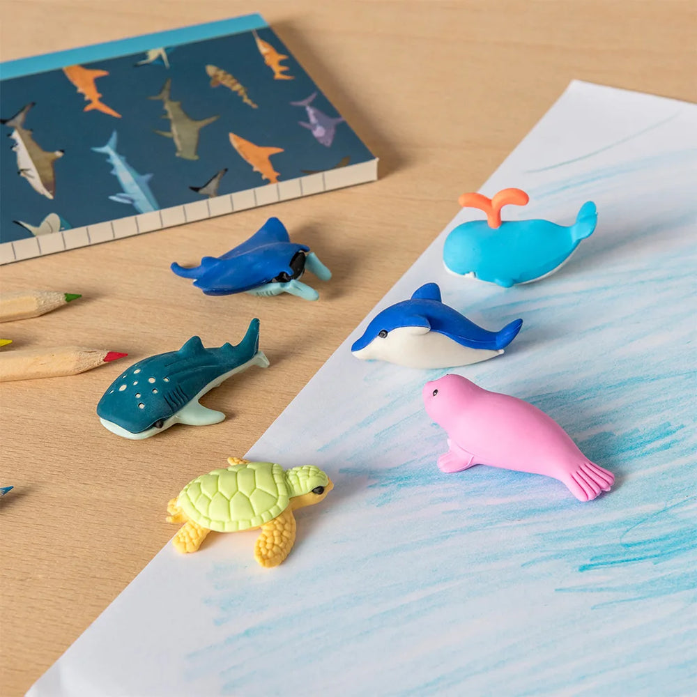 
                  
                    Ocean Animal Eraser
                  
                