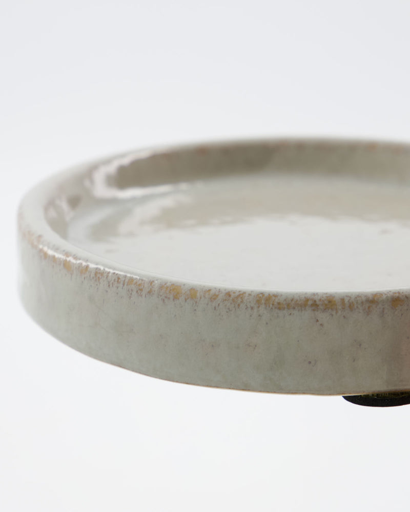 
                  
                    DATURA Shellish Grey Soap Dish
                  
                