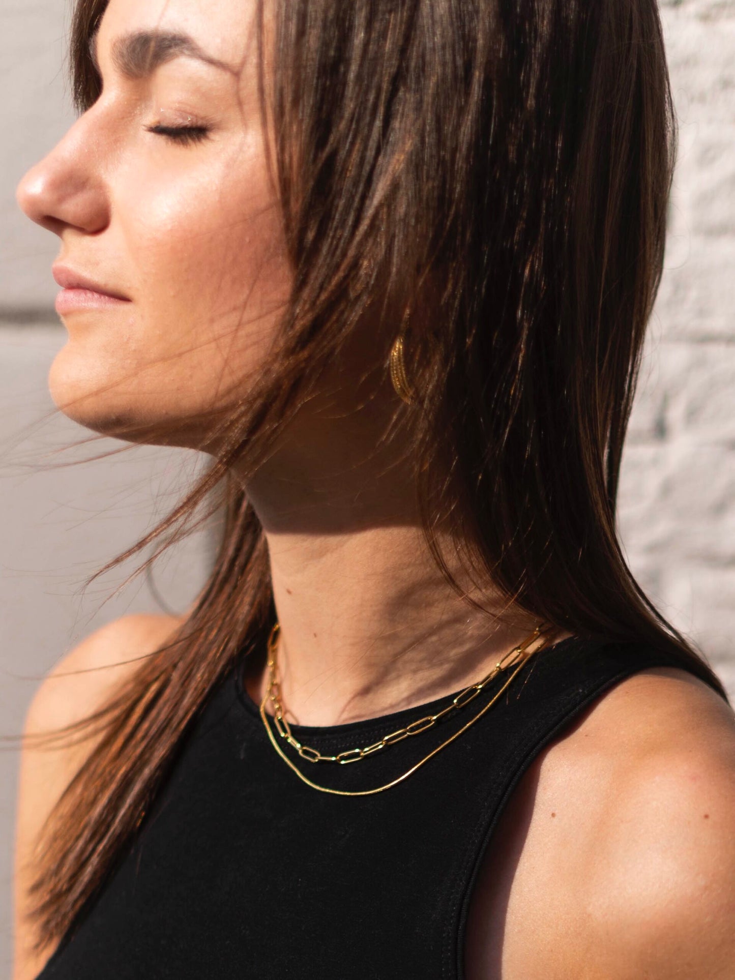 
                  
                    Small Gold Snake 4 Lengths Possible Necklace
                  
                