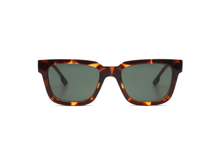 
                  
                    BOBBY Havana Sunglasses
                  
                