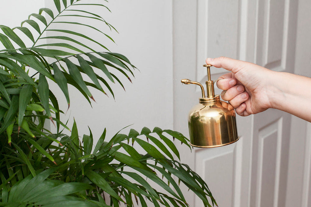 
                  
                    Brass Plant Mister
                  
                