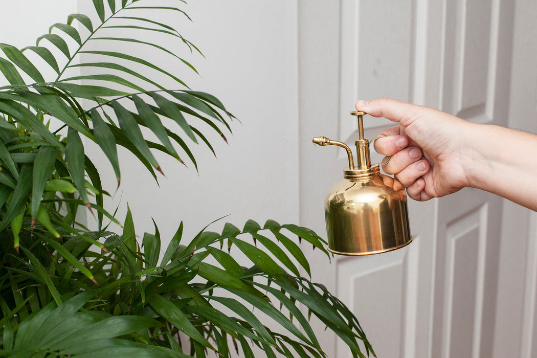
                  
                    Brass Plant Mister
                  
                