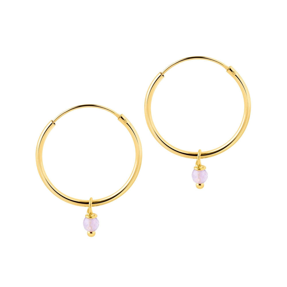 
                  
                    Gold Plated Hoop With Purple Stone Earrings
                  
                