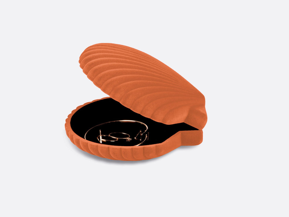 
                  
                    Orange Venus Aufbewahrungsbox
                  
                
