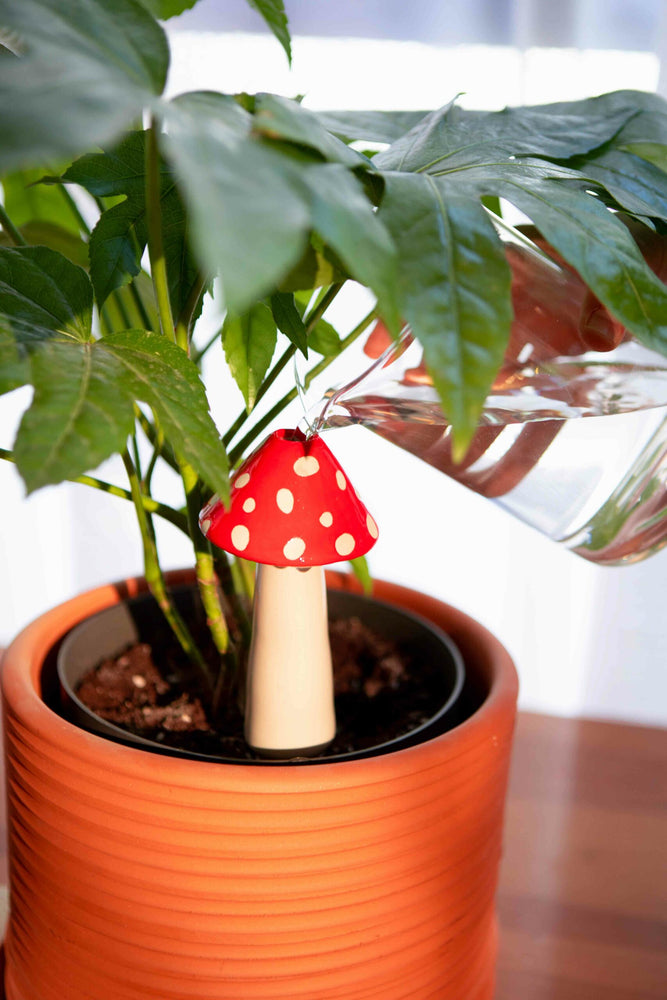 
                  
                    Red Amanita Plant Waterer
                  
                