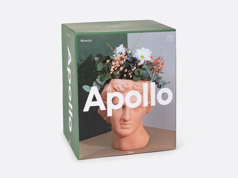 
                  
                    Apollo Terracotta Vase
                  
                