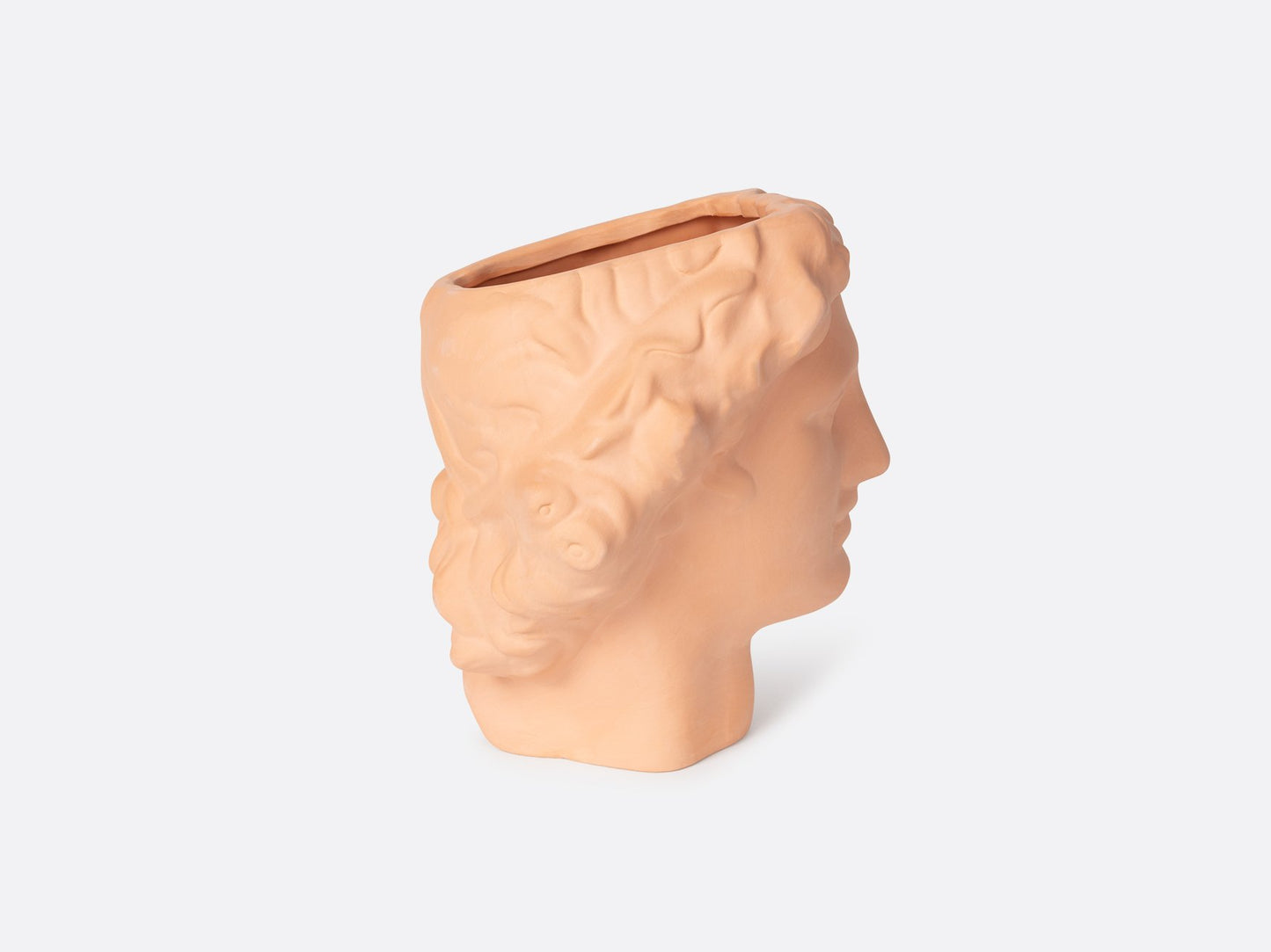 
                  
                    Apollo Terracotta Vase
                  
                