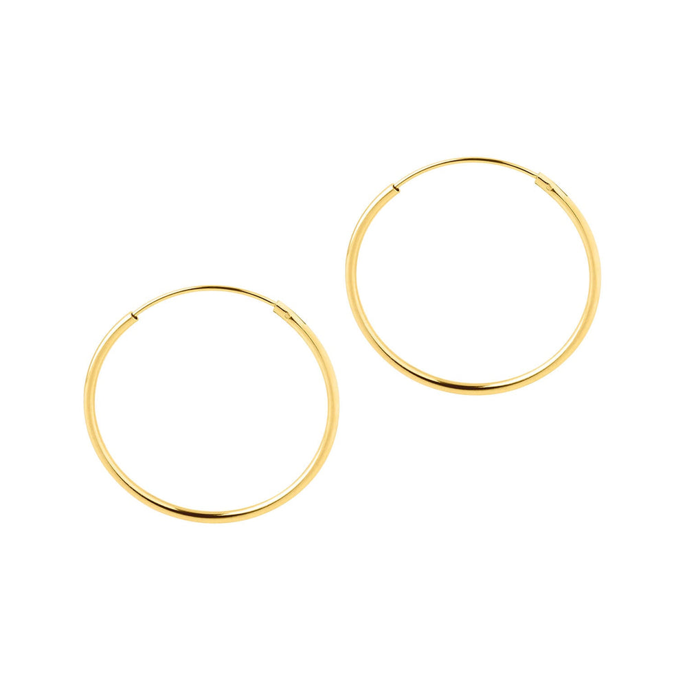 Gold Plated Hoop Earrings