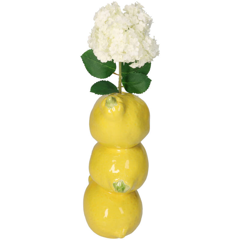 
                  
                    Gelbe Zitronenvase
                  
                
