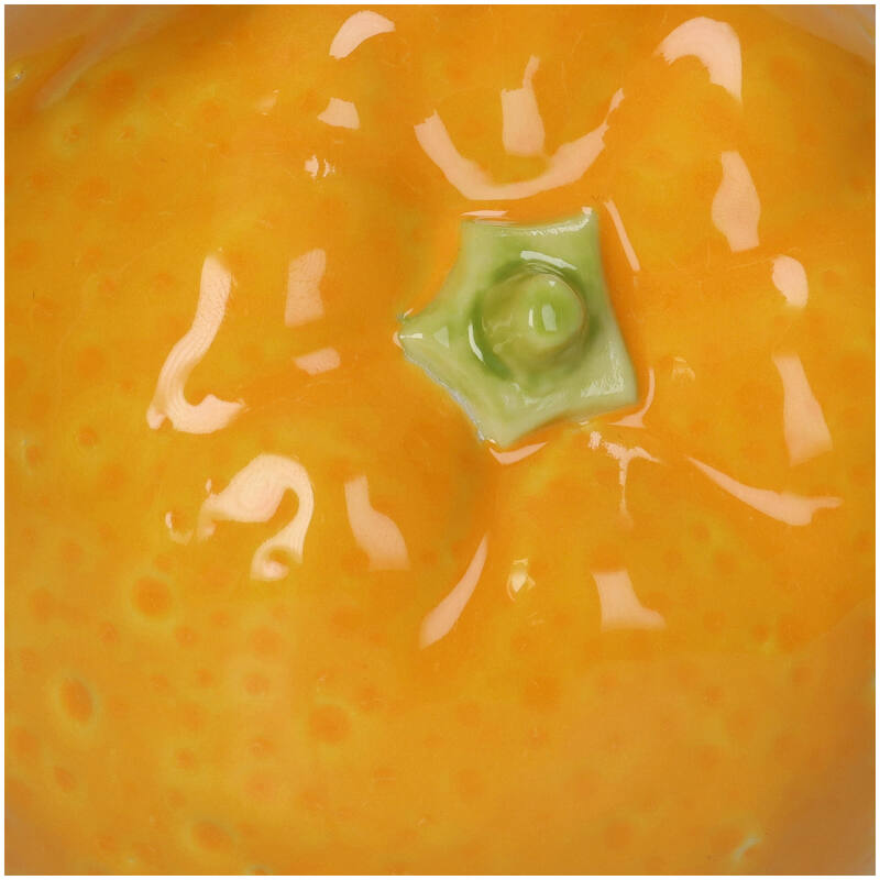 
                  
                    Orange Vase
                  
                