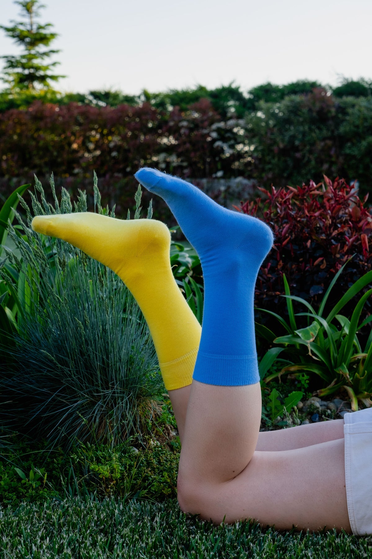 
                  
                    Blue Solid Socks
                  
                