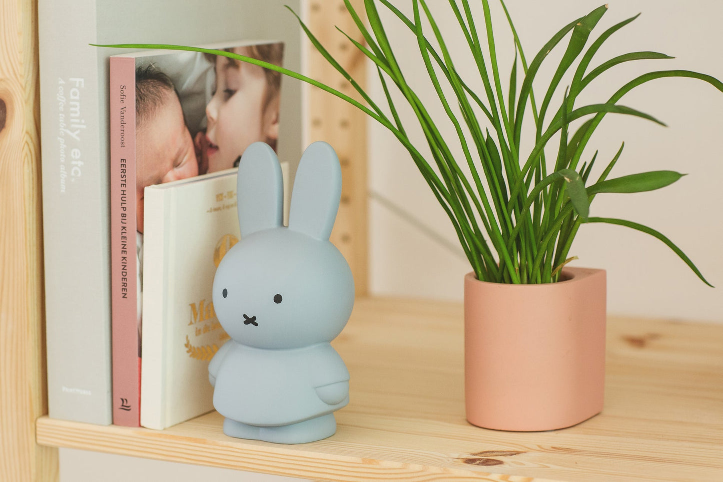 
                  
                    Silver Blue Miffy Money Box
                  
                