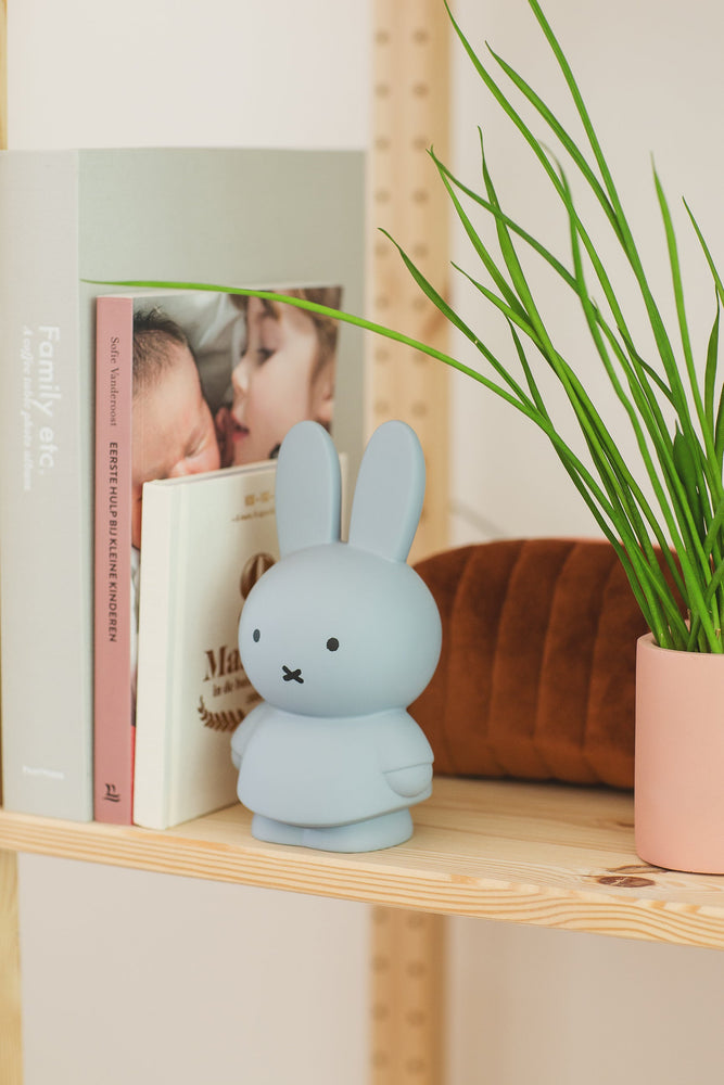 
                  
                    Silver Blue Miffy Money Box
                  
                