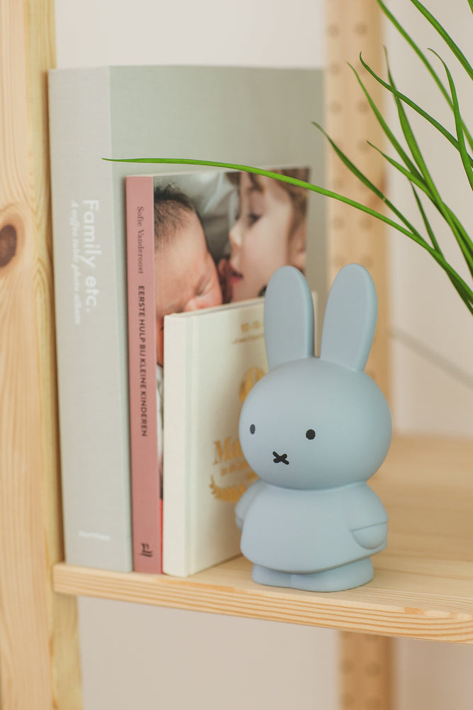 
                  
                    Silver Blue Miffy Money Box
                  
                