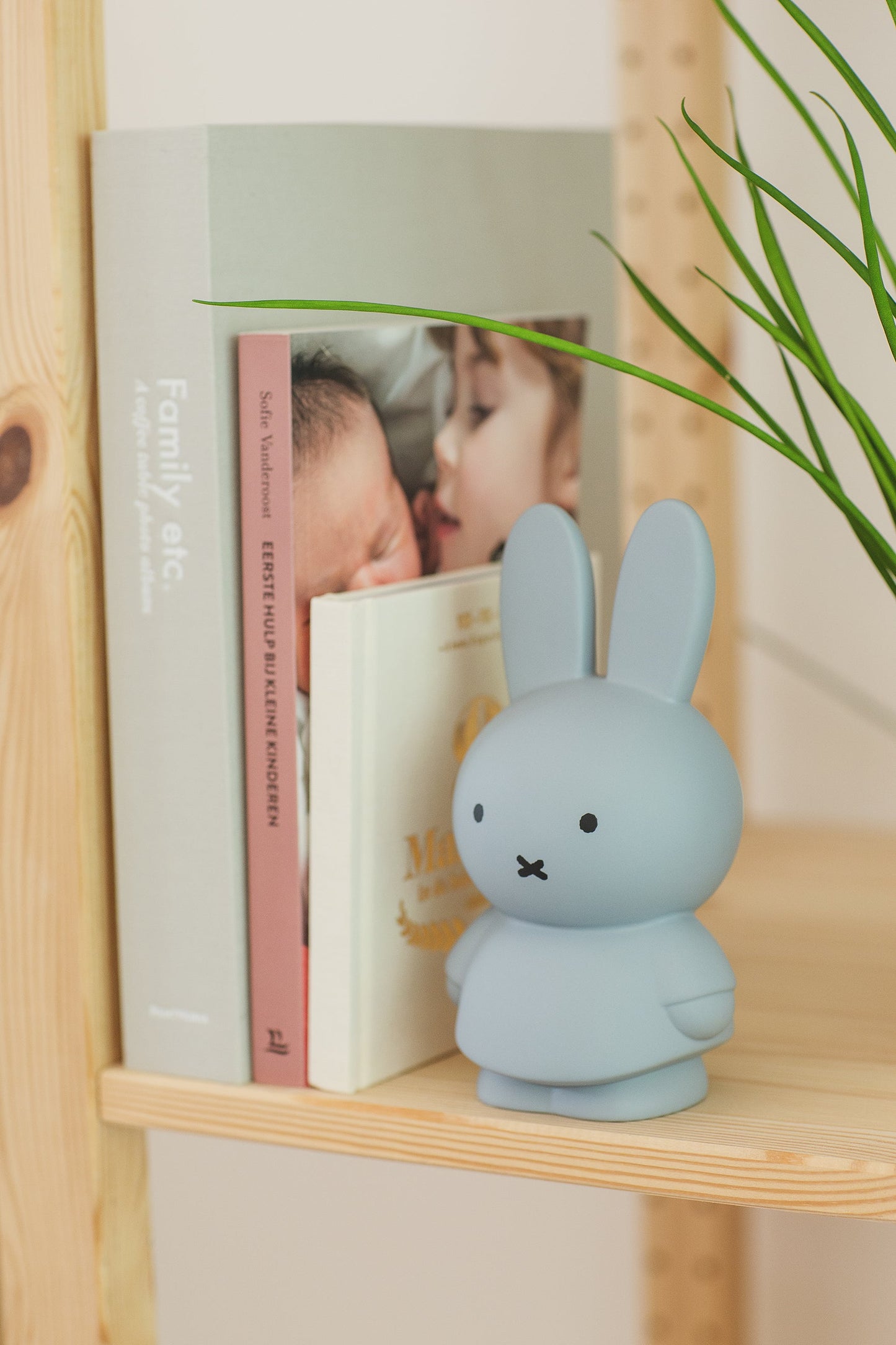 
                  
                    Silver Blue Miffy Money Box
                  
                