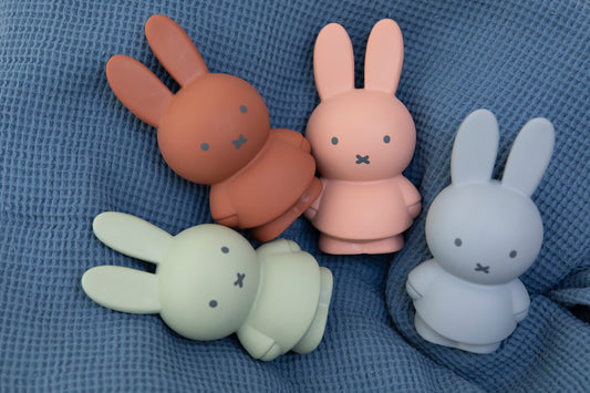 
                  
                    Powder Miffy Money Box
                  
                