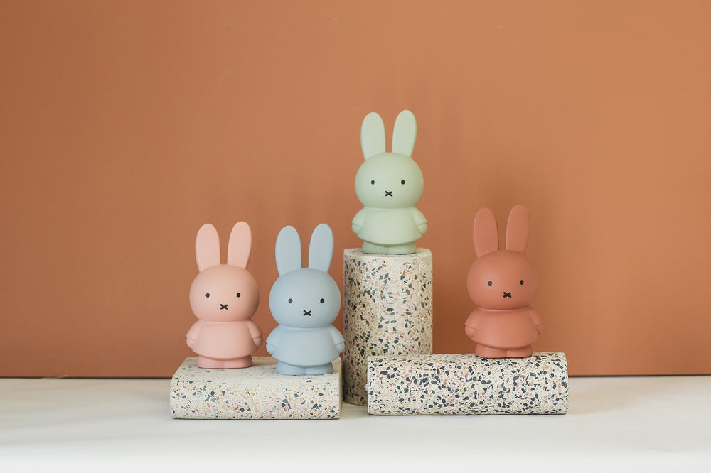 
                  
                    Powder Miffy Money Box
                  
                