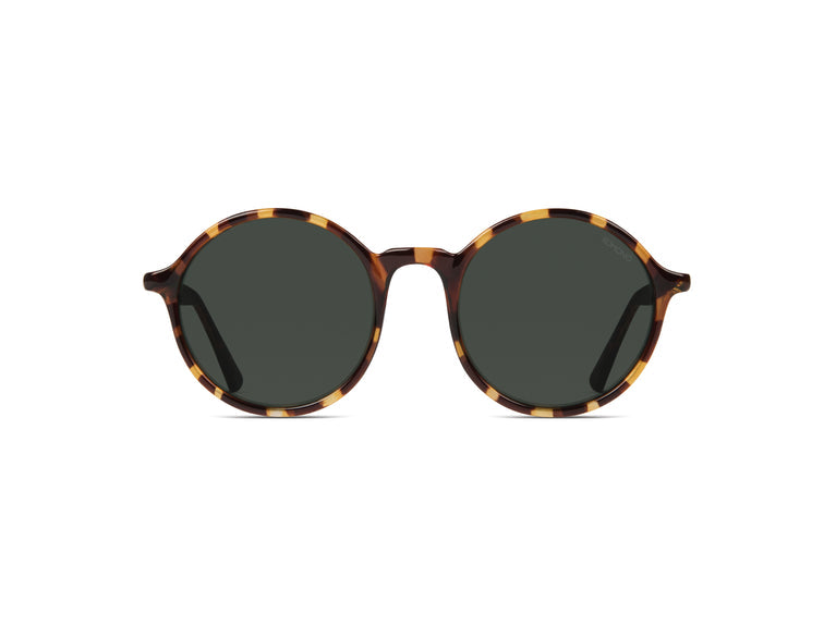 MADISON Tortoise Sunglasses