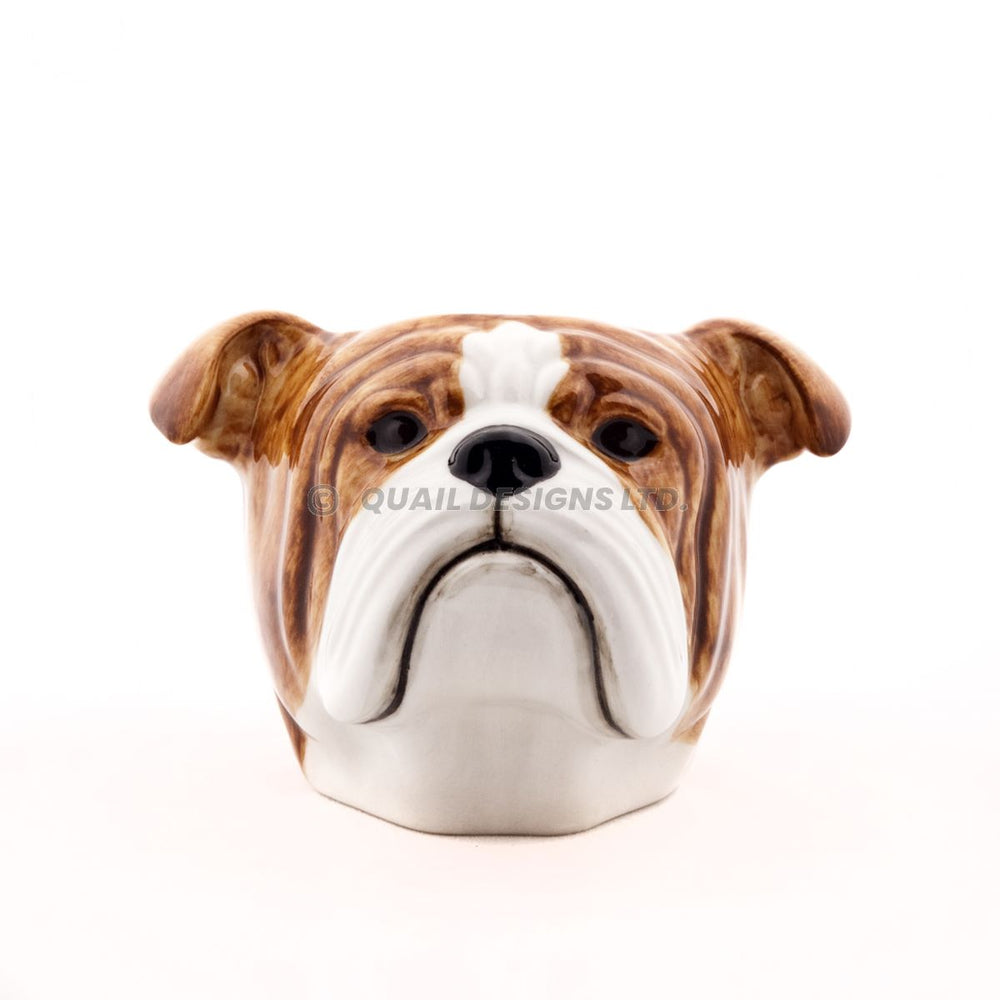 Eierbecher mit englischem Bulldoggengesicht