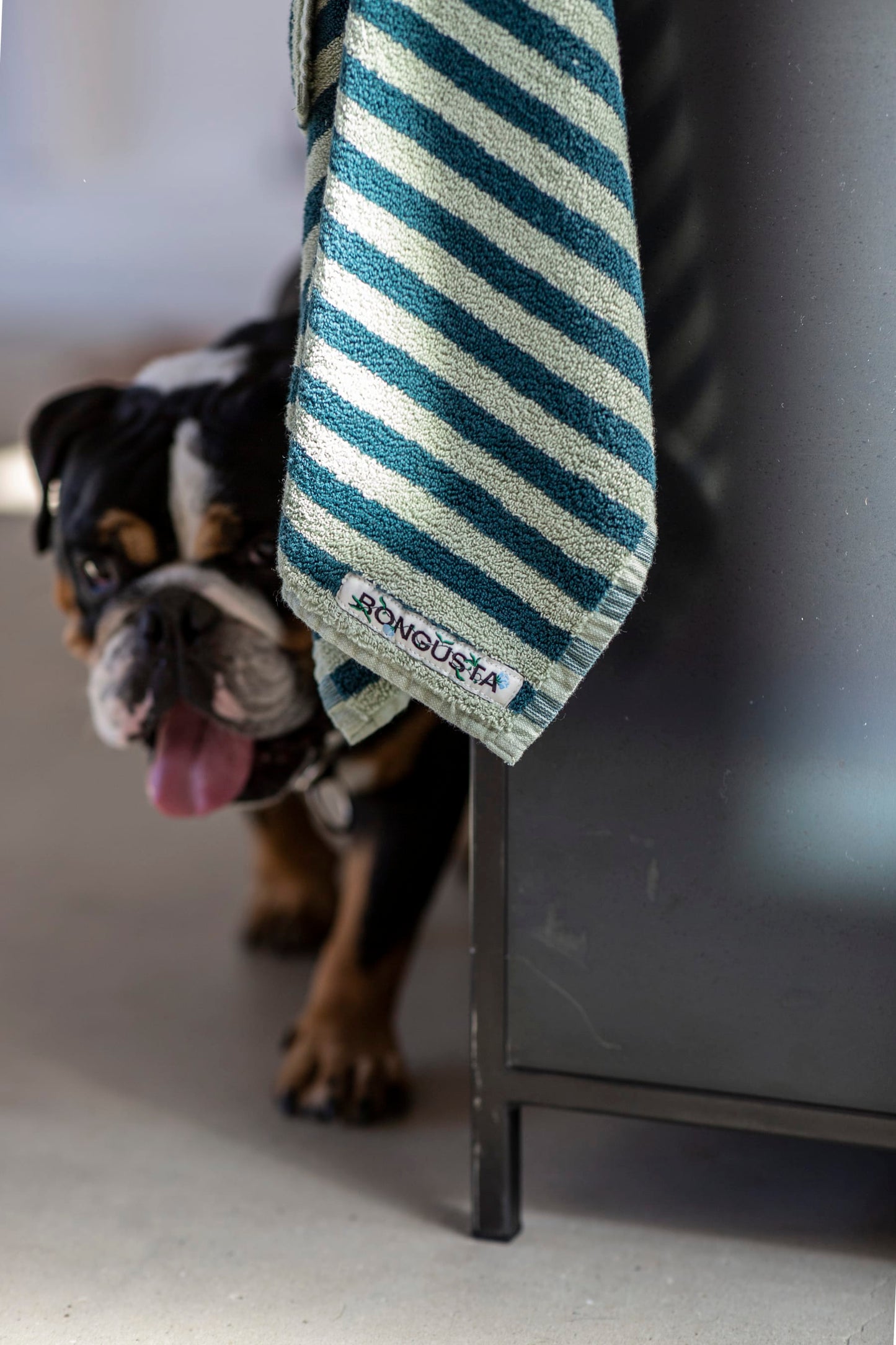 
                  
                    Sea Foam & Deep Teal Naram Guest Towel
                  
                