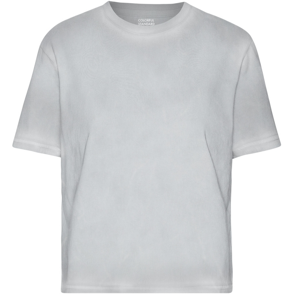 Faded Grey Boxy Crop T-Shirt