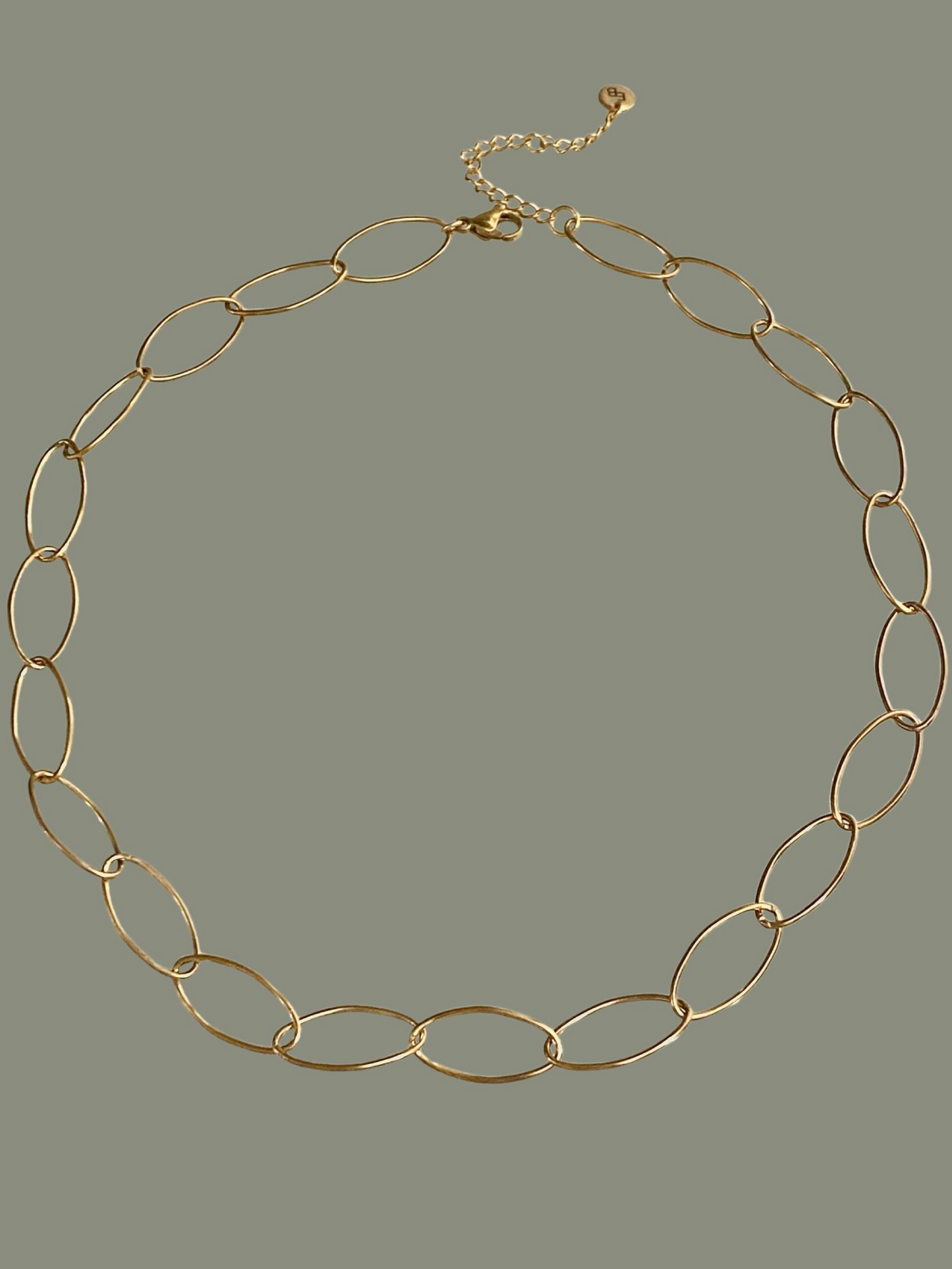 
                  
                    Gold Oval Link Necklace
                  
                