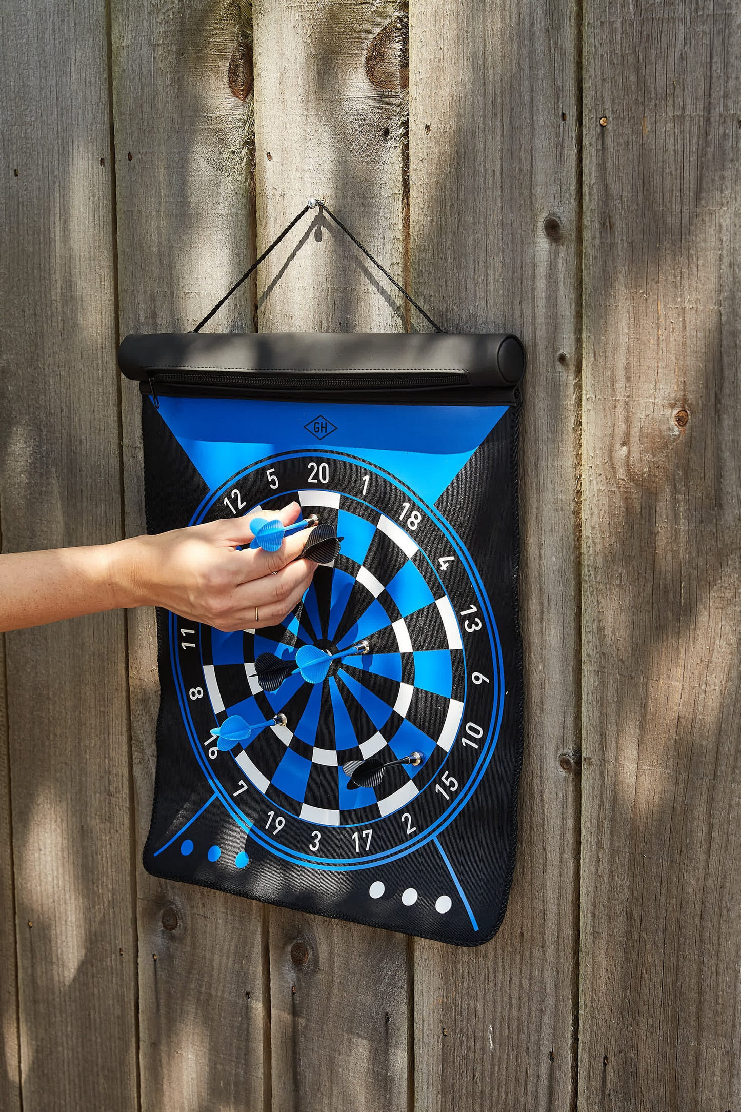 
                  
                    Dartboard Roll Game
                  
                
