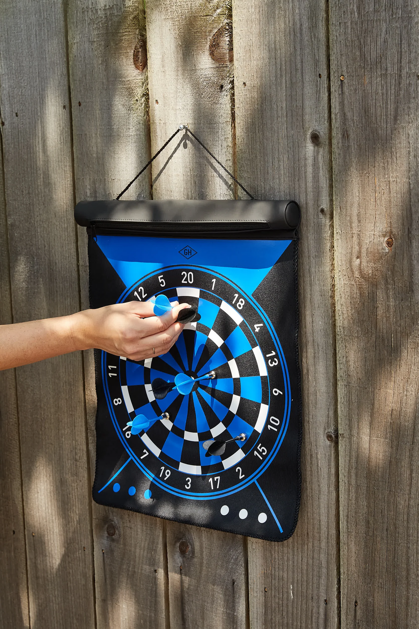 
                  
                    Dartboard Roll Game
                  
                