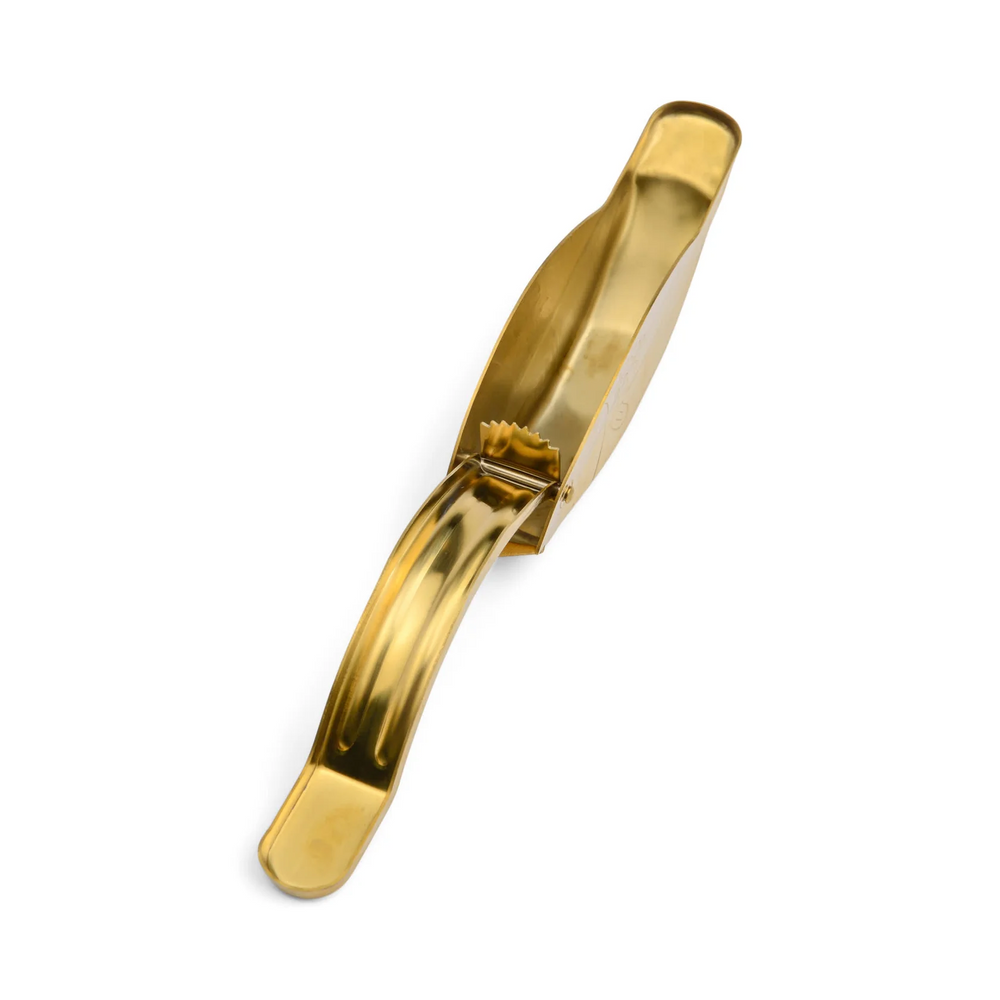 
                  
                    DER STEVIE Fisch Zitrusentsafter
                  
                