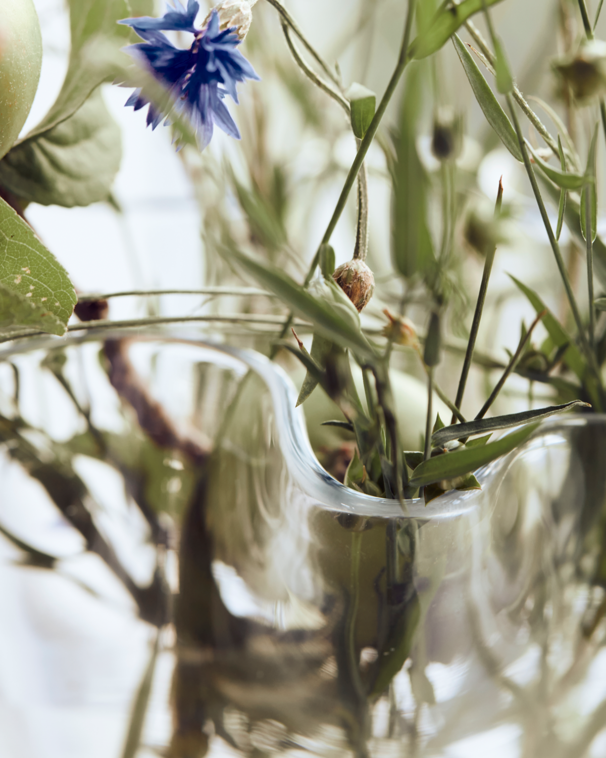 
                  
                    PLIS Transparent Glass Vase
                  
                