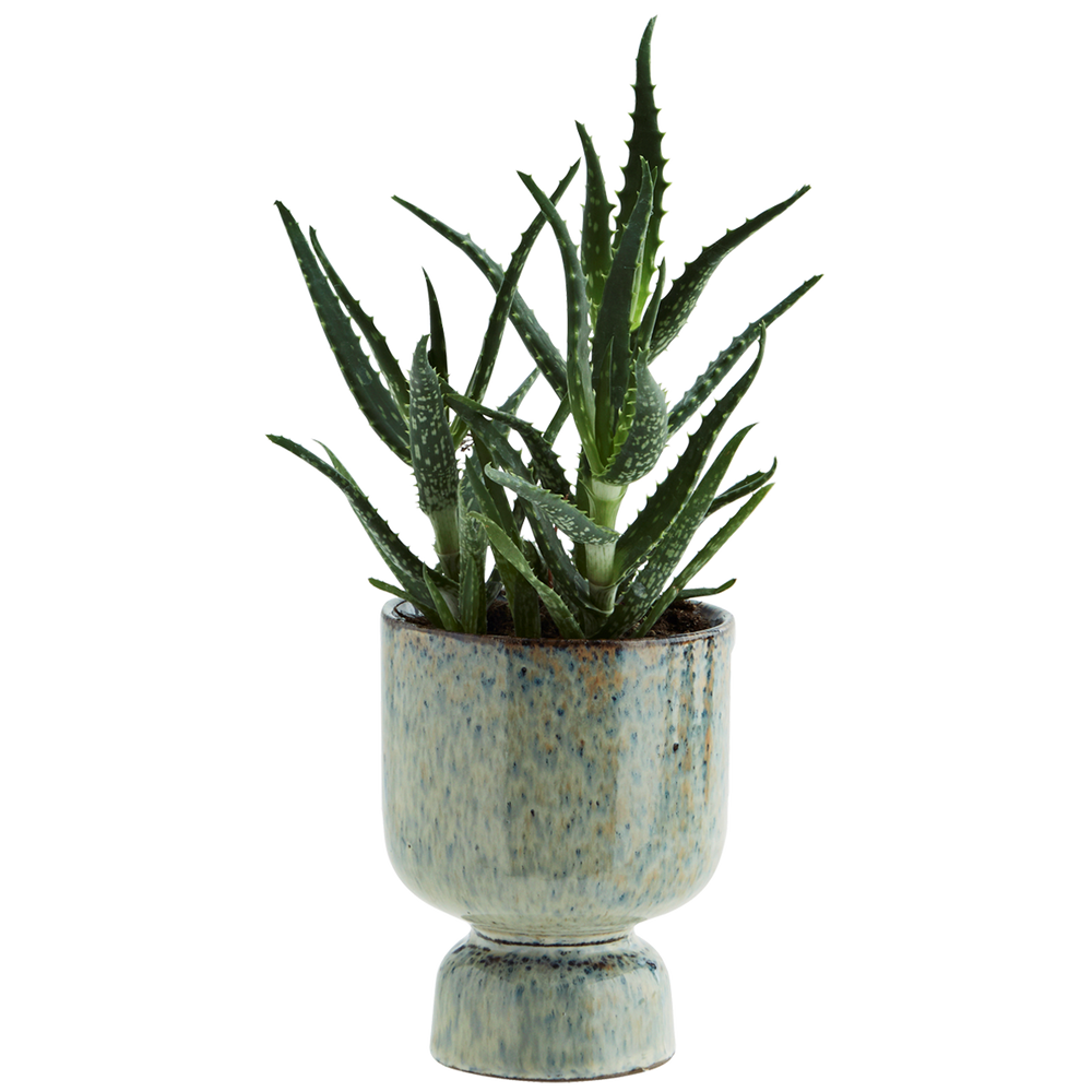 
                  
                    Liquen Blue Rust Stoneware  Flower Pot
                  
                