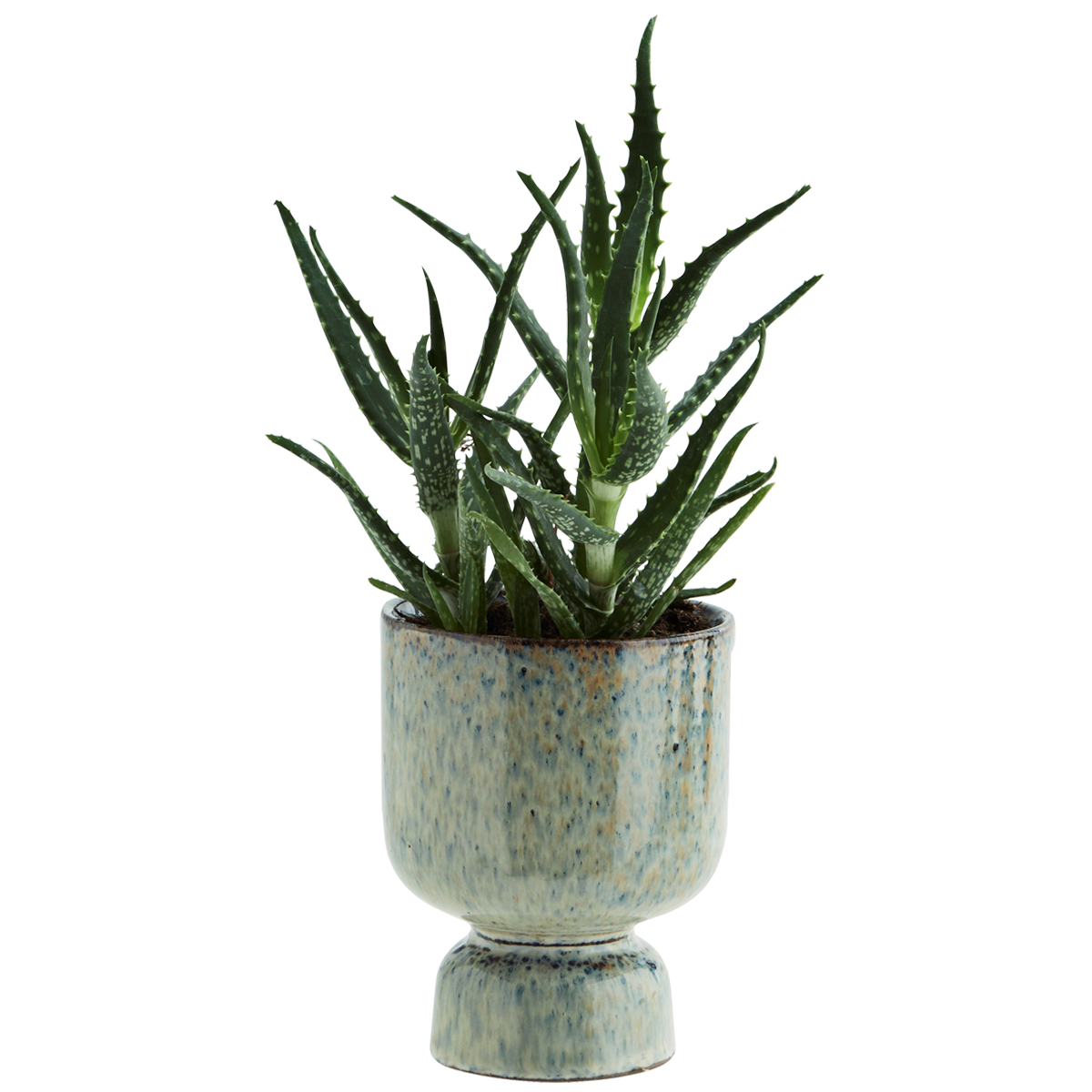 
                  
                    Liquen Blue Rust Stoneware  Flower Pot
                  
                