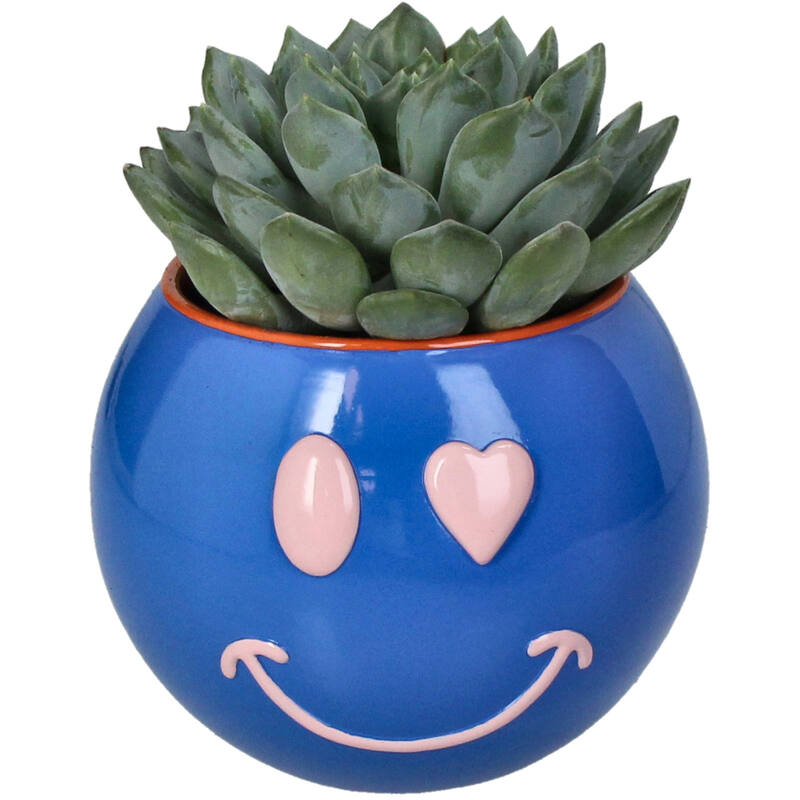 
                  
                    Blauer Smiley-Pflanztopf aus Polyresin
                  
                