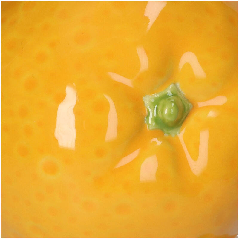 
                  
                    Orangefarbene Orangefarbene Vase
                  
                