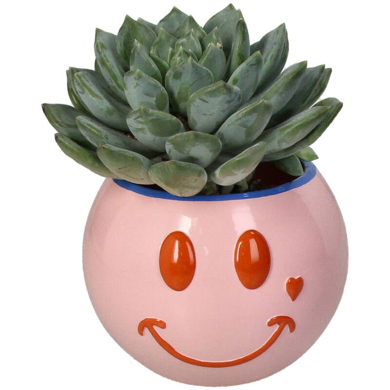 
                  
                    Rosafarbener Smiley-Pflanztopf aus Polyresin
                  
                