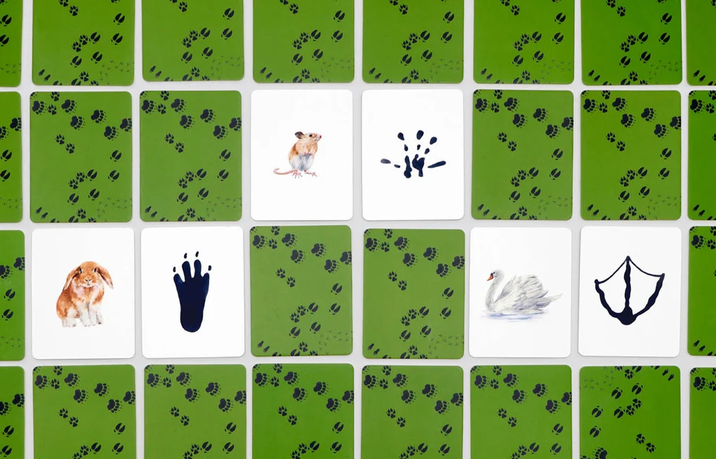 
                  
                    Tiere In Deiner Umgebung Game
                  
                