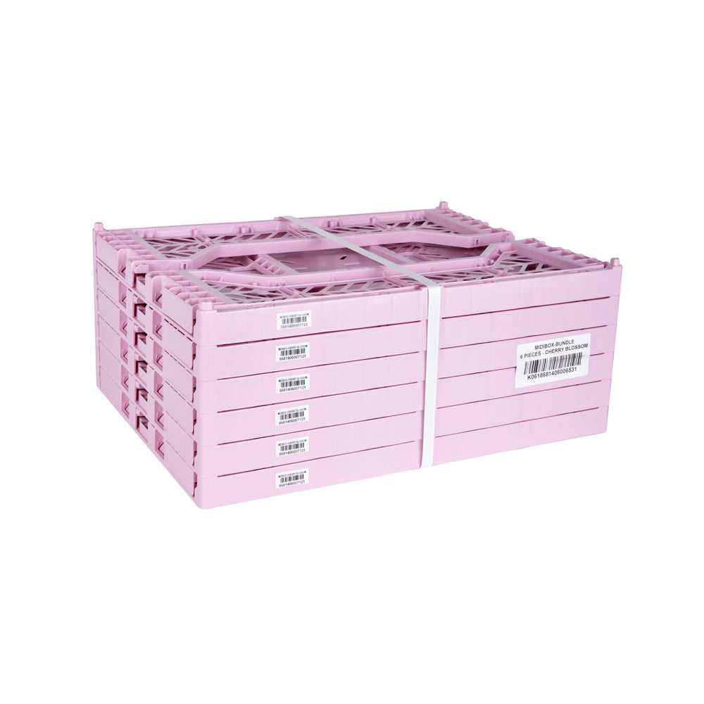 
                  
                    Midi Cherry Blossom Folding Crate
                  
                