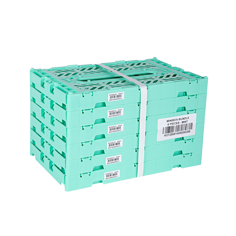 
                  
                    Mini-Mint-Klappkiste
                  
                