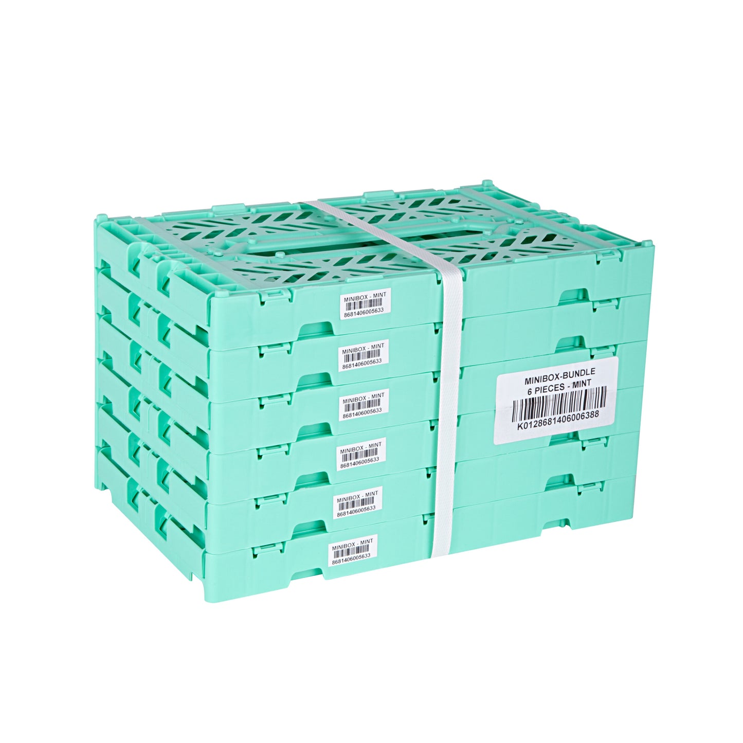 
                  
                    Mini Mint Folding Crate
                  
                