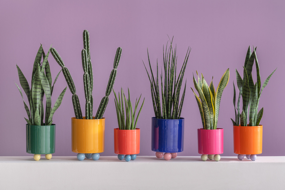 
                  
                    DOUBLE FUNKY Medium Bright Orange Purple Pflanztopf
                  
                