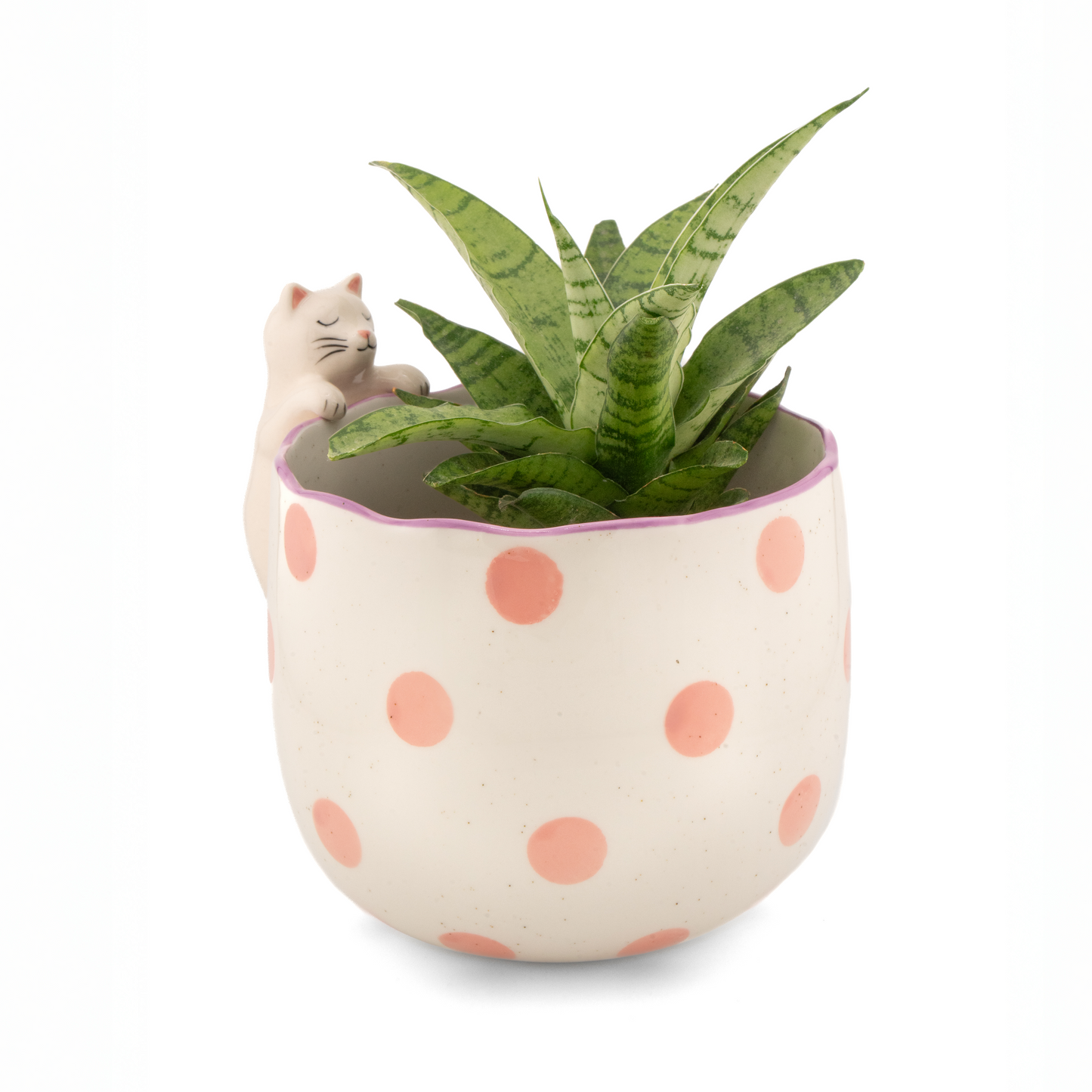 
                  
                    Peeking Cat Planter
                  
                