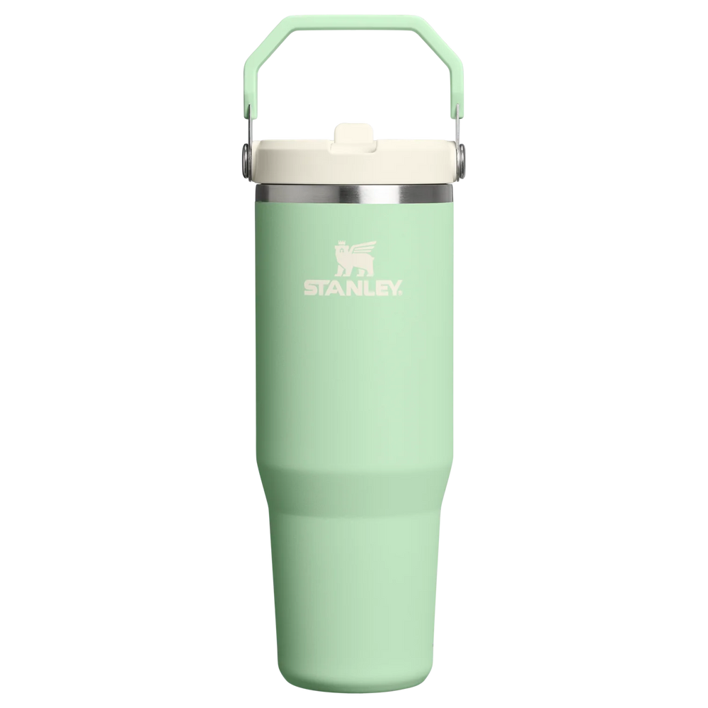 Pistachio Classic Flip Straw Tumbler