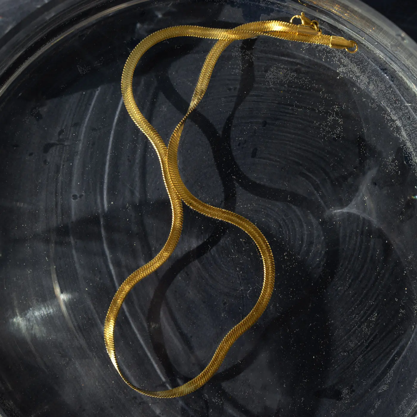 
                  
                    IVY Gold Snake Chain Necklace
                  
                