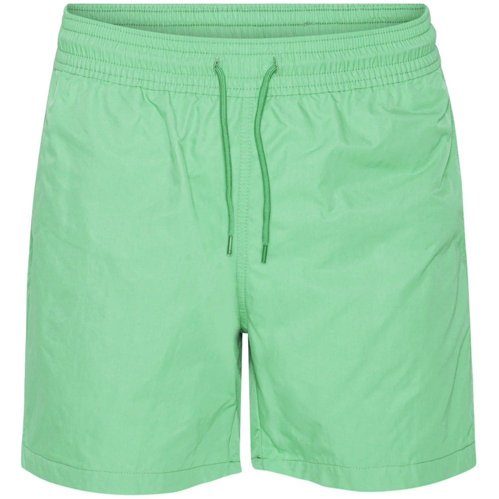 Spring Green Classic Swim Shorts