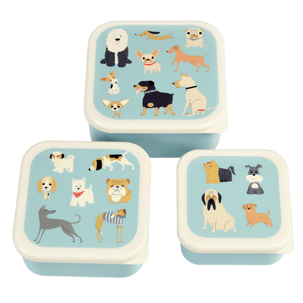 Best In Show Snack Box