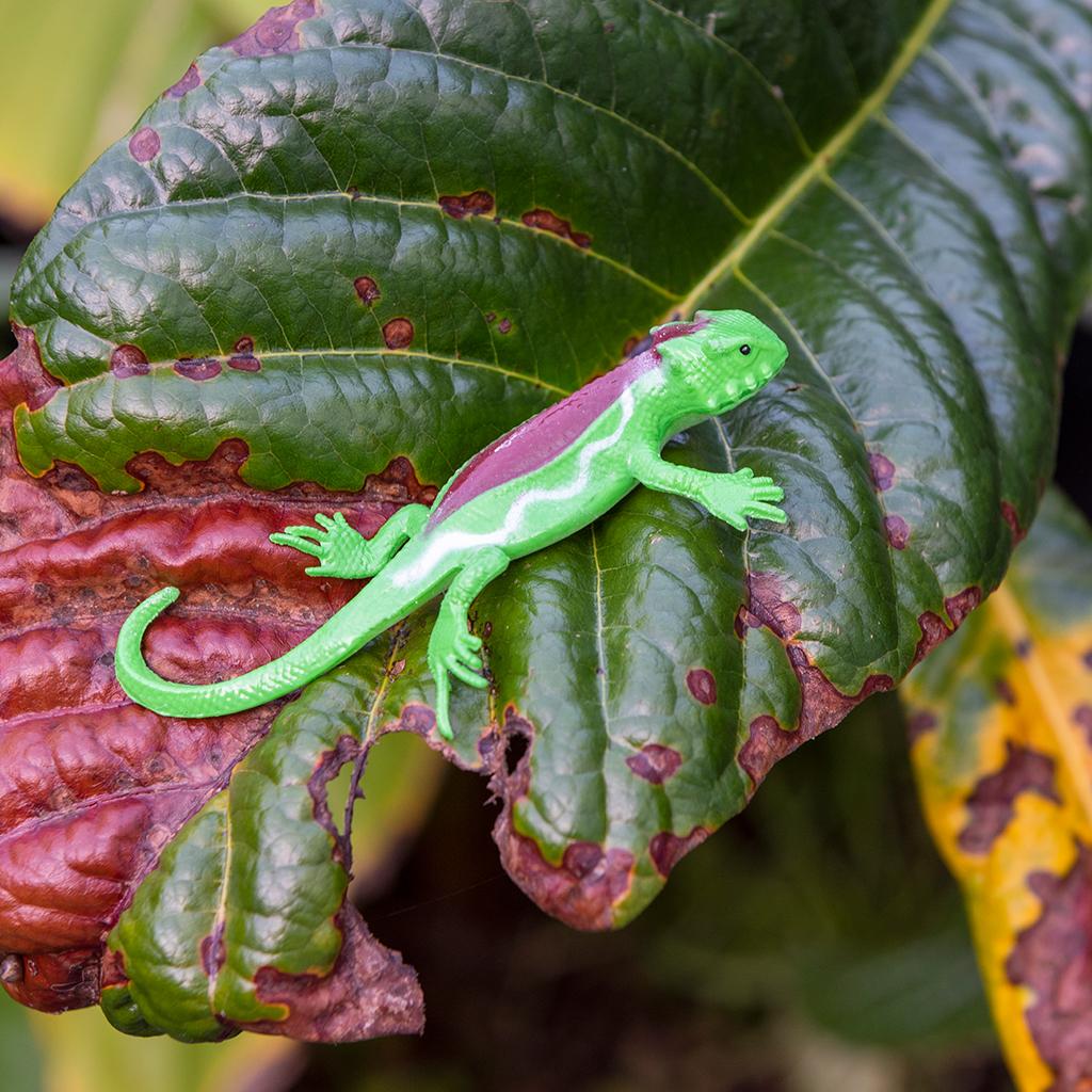 
                  
                    Assorted Super Stretchy Gecko Toy
                  
                