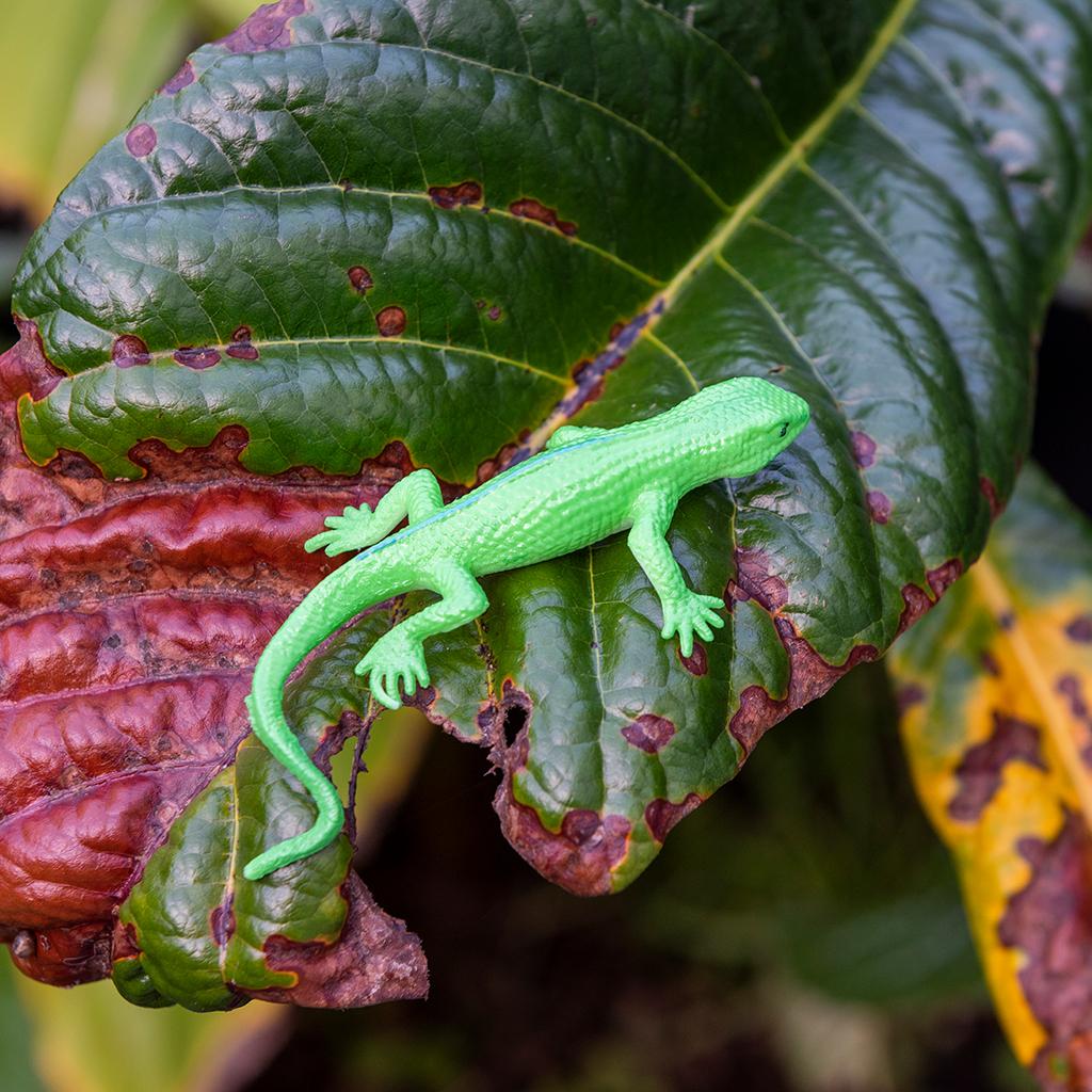 
                  
                    Assorted Super Stretchy Gecko Toy
                  
                