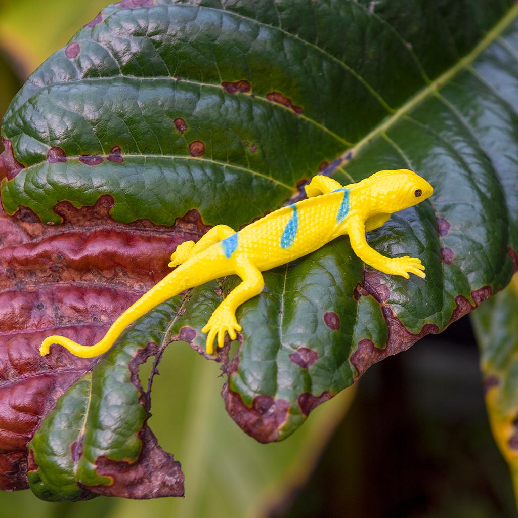 
                  
                    Assorted Super Stretchy Gecko Toy
                  
                