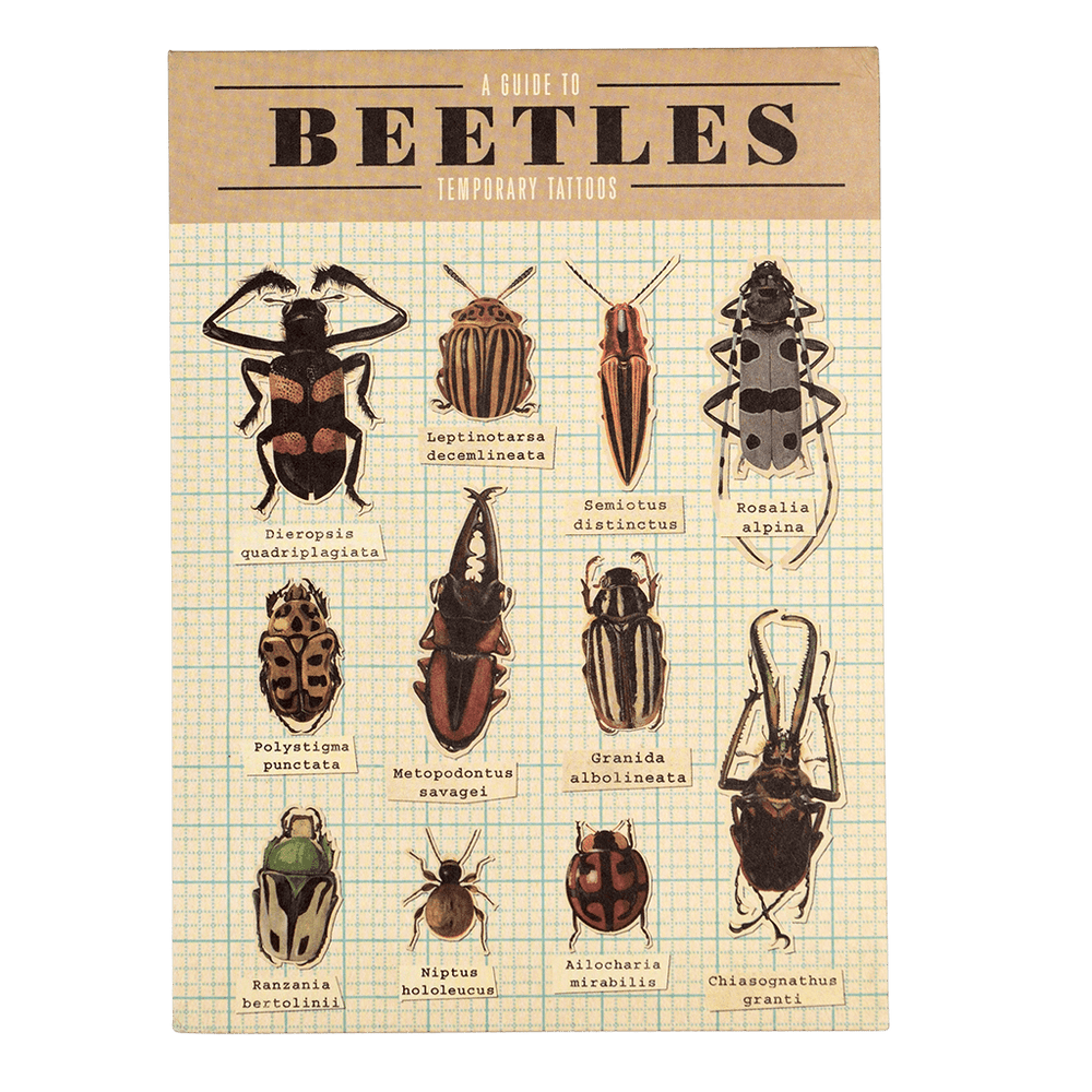 
                  
                    Beetles Temporary Tattoo
                  
                